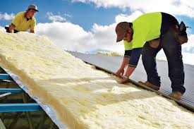 Best Insulation for New Construction  in Limesa, CA