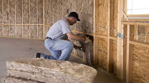 Best Eco-Friendly or Green Insulation Solutions  in Limesa, CA