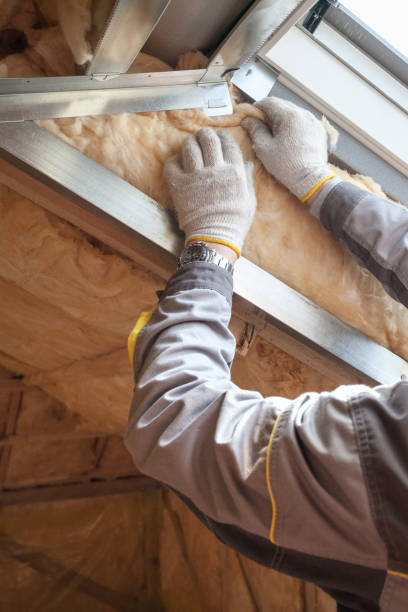 Best Radiant Barrier Insulation  in Limesa, CA